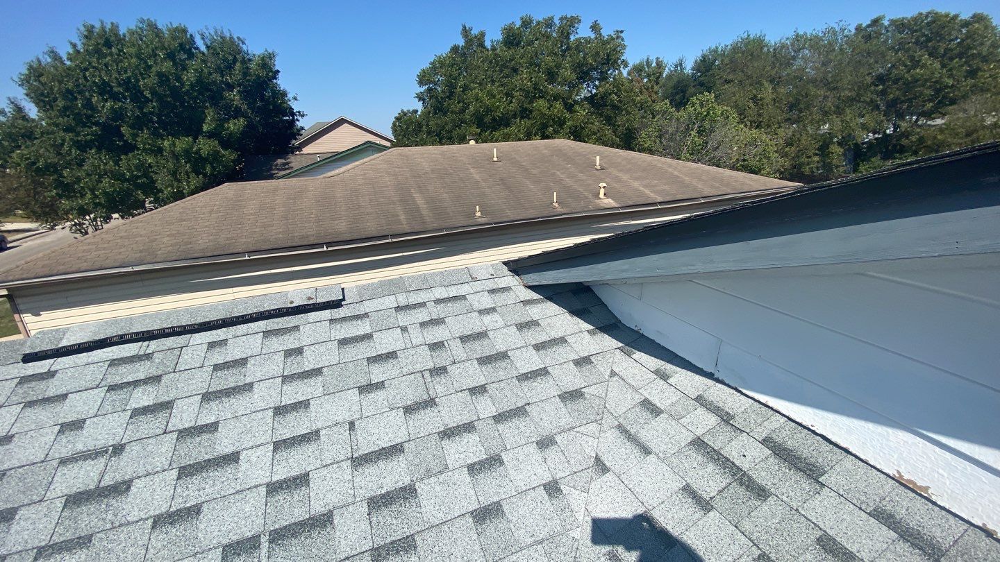 Silver Birch Shingles by Reimagine Roofing