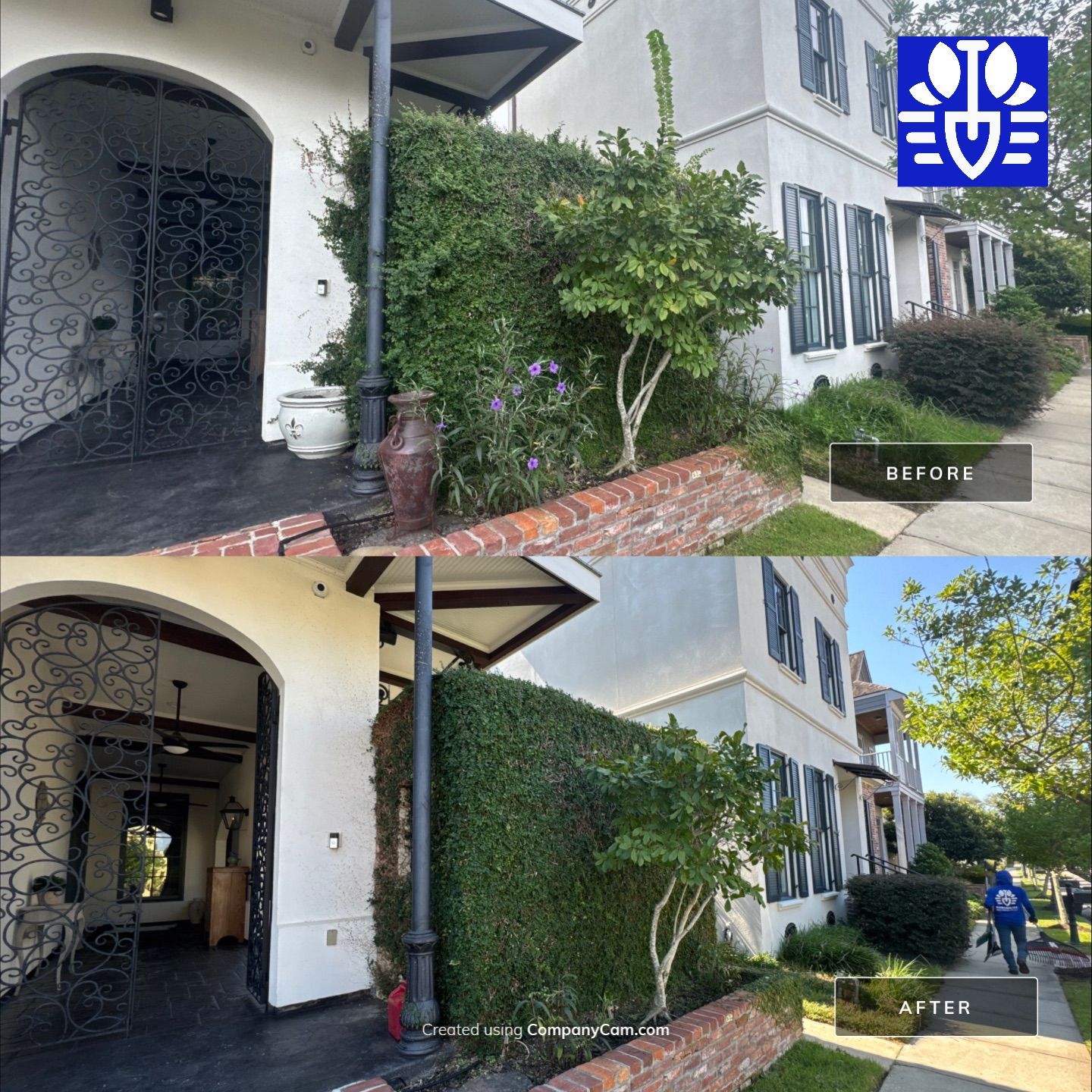 LANDSCAPE SERVICES: VINE TRIM AND BED CLEAN UP by CutScape, LLC.