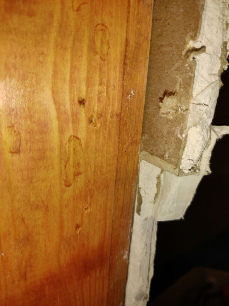 Mold Remediation in Bathroom by Accountable Home Services