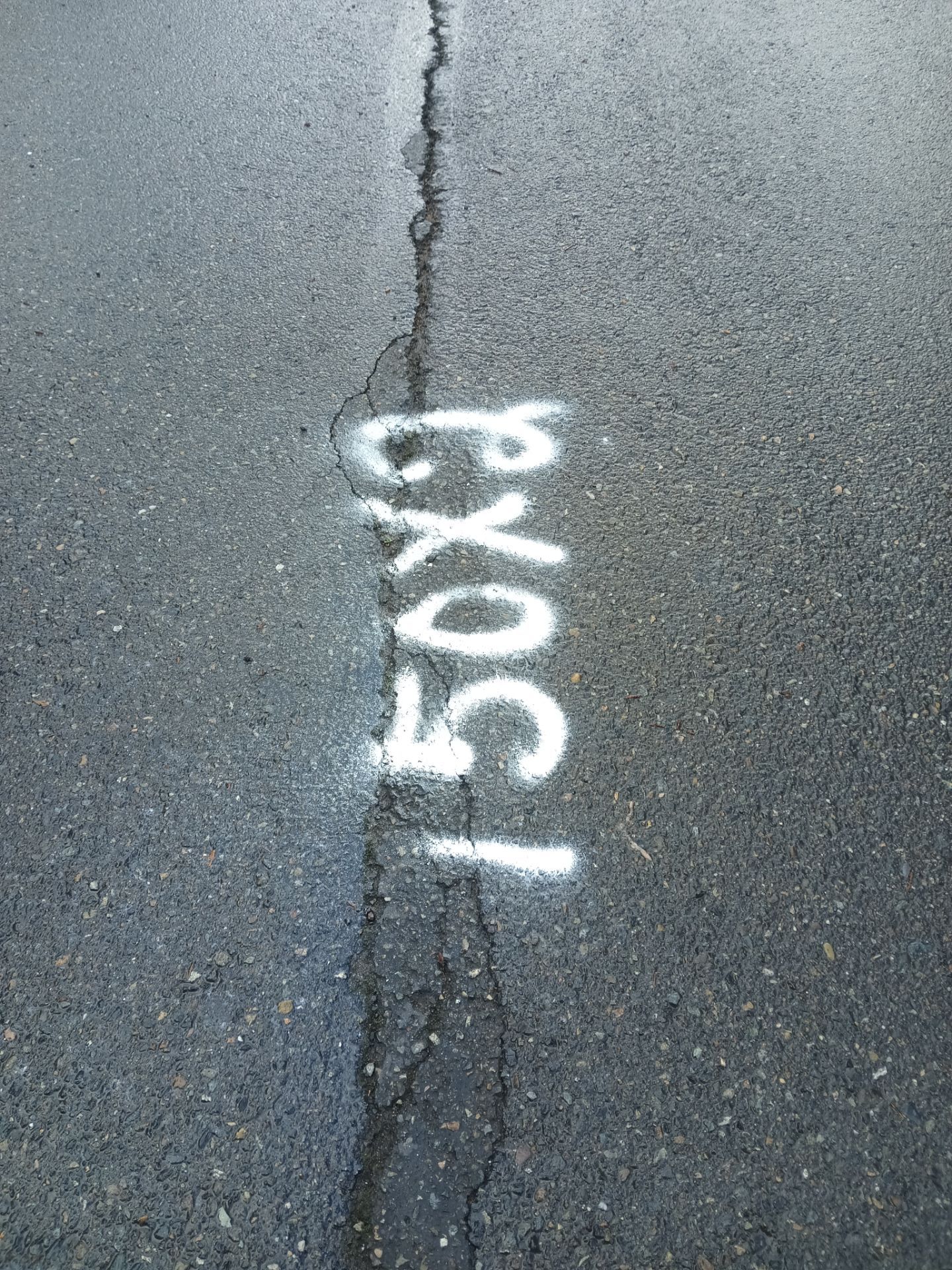 Asphalt Patch Repair | Auburn  by Jireh Asphalt & Concrete Inc 