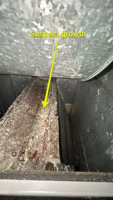 Air Duct and Dryer Vent Cleaning in The Villages
