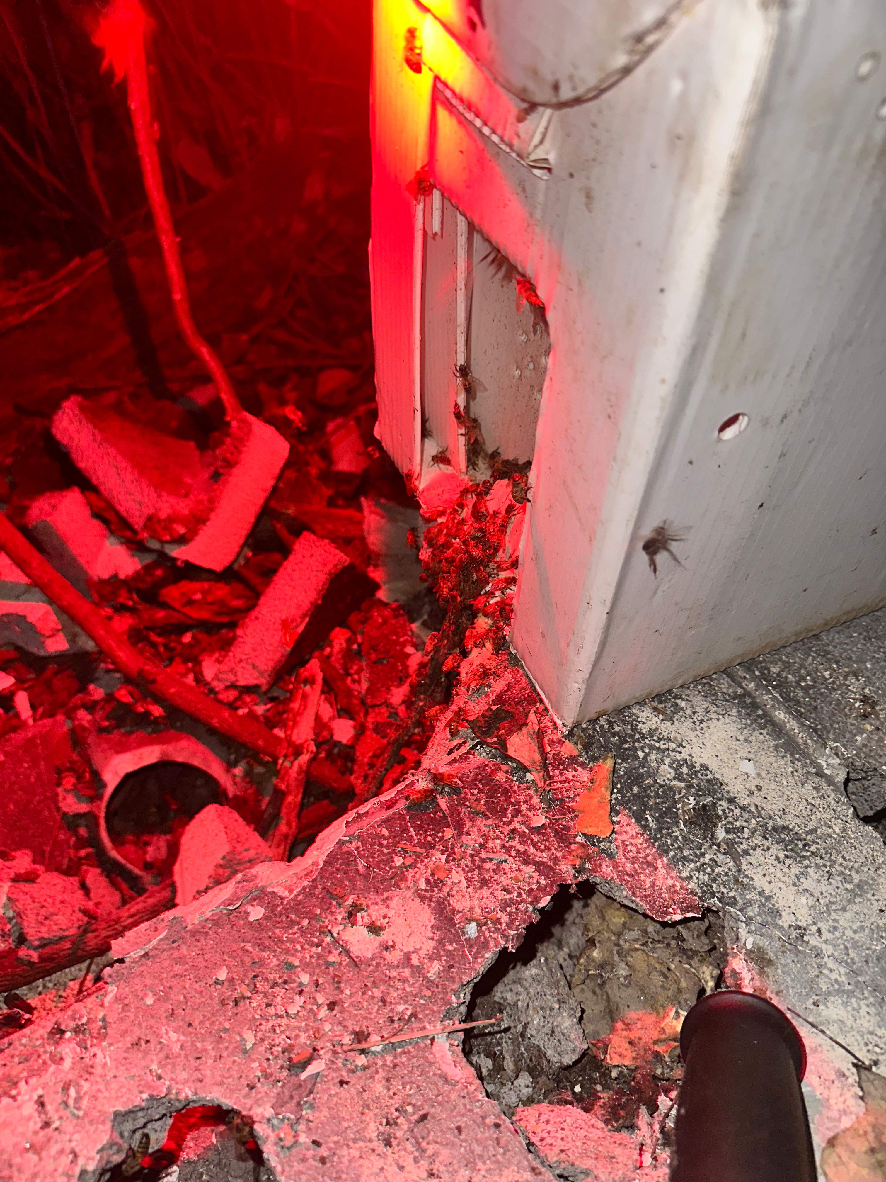 Demoed Cinderblock Wall by Rockwall Honey Bee Company