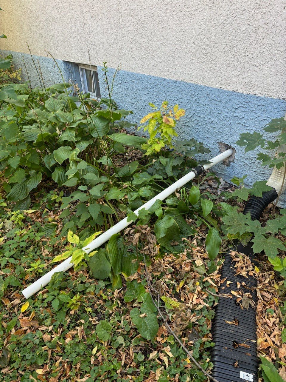 Basement waterproofing in North MPLS by Waterproofing Northeast