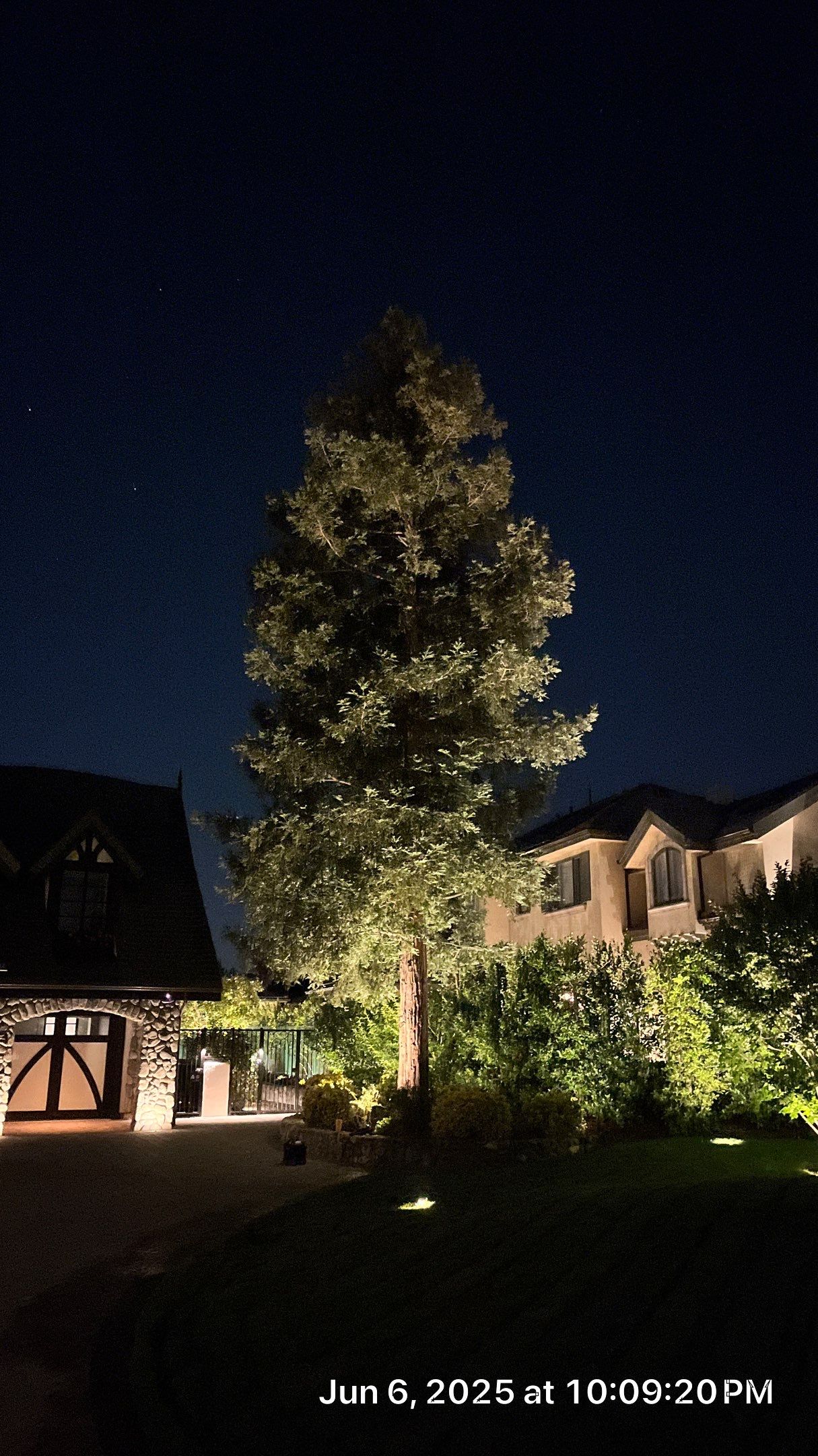 Timeless Elegance by Custom Lights + Shades