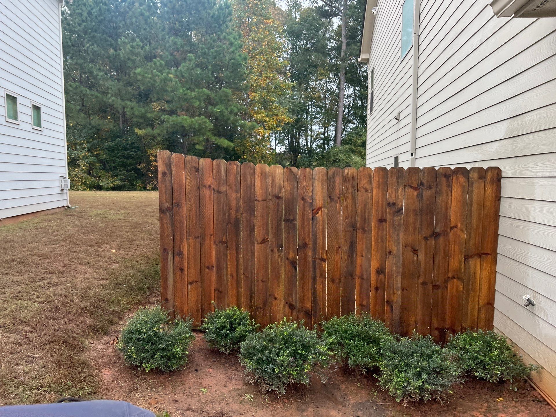 Fence Restoration using Chocolate by SSE by Titans of Timber Fence & Stain