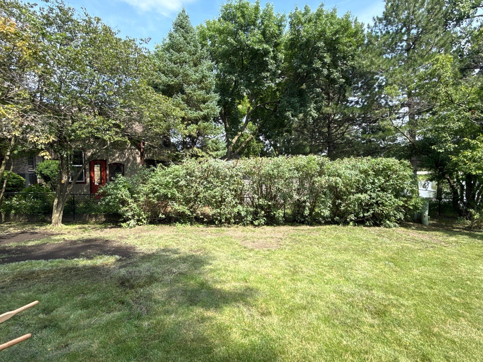 Alicia S. - Arlington Heights, IL by A&N