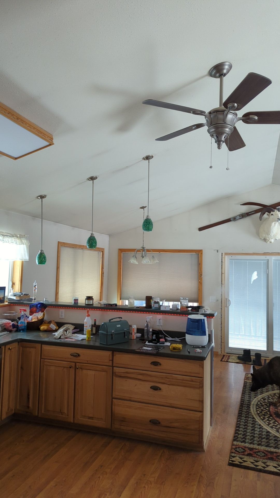 Interior Painting Refresh by Midnight Sun Painting