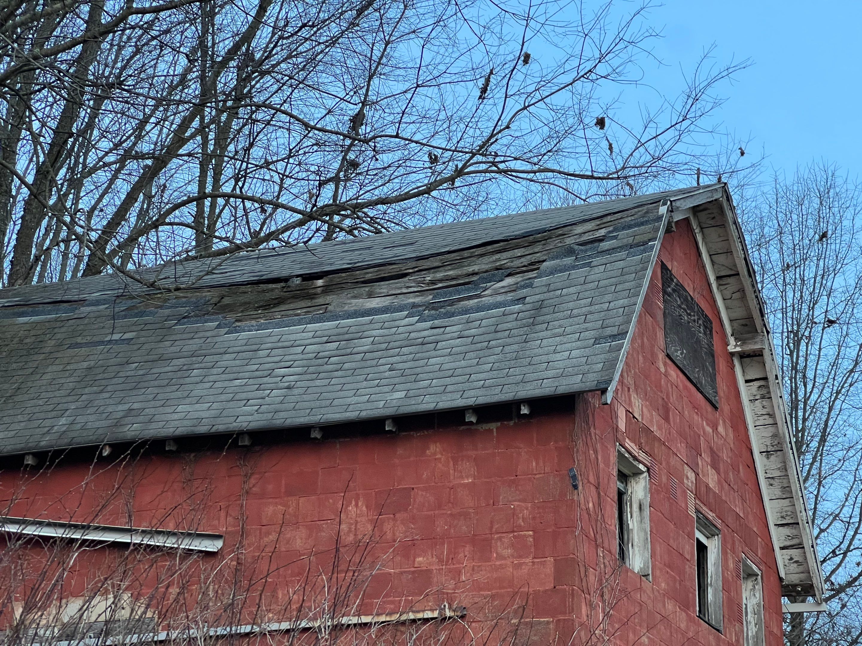 Brooke Kimbley 23550 by Silver Leaf Contracting 