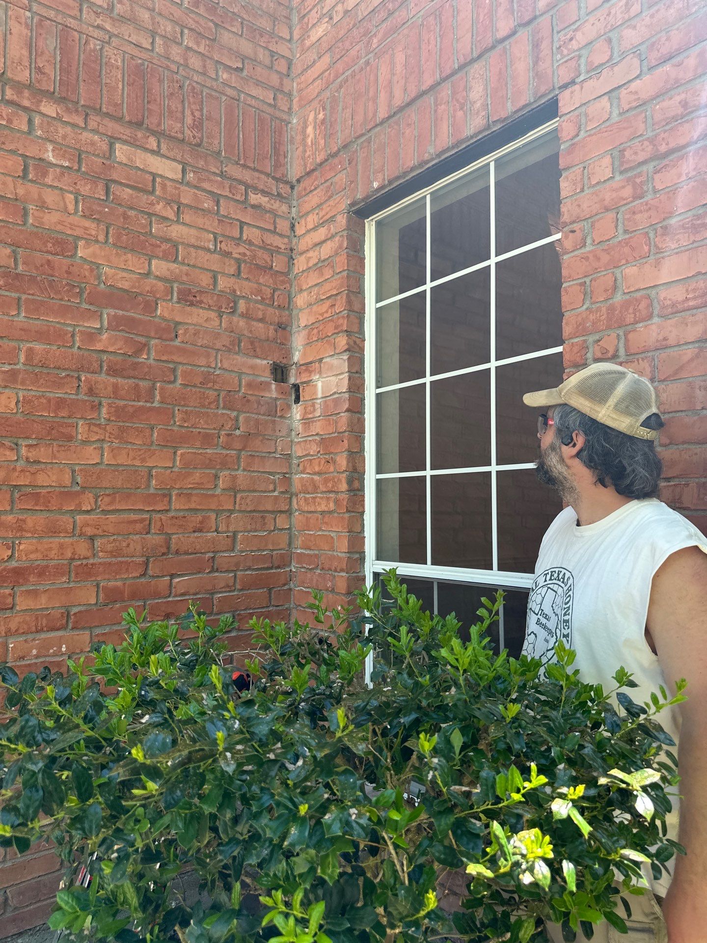 Bees Behind Bricks by Rockwall Honey Bee Company