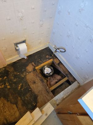 Leaky Toilet Disaster? We Fixed It!