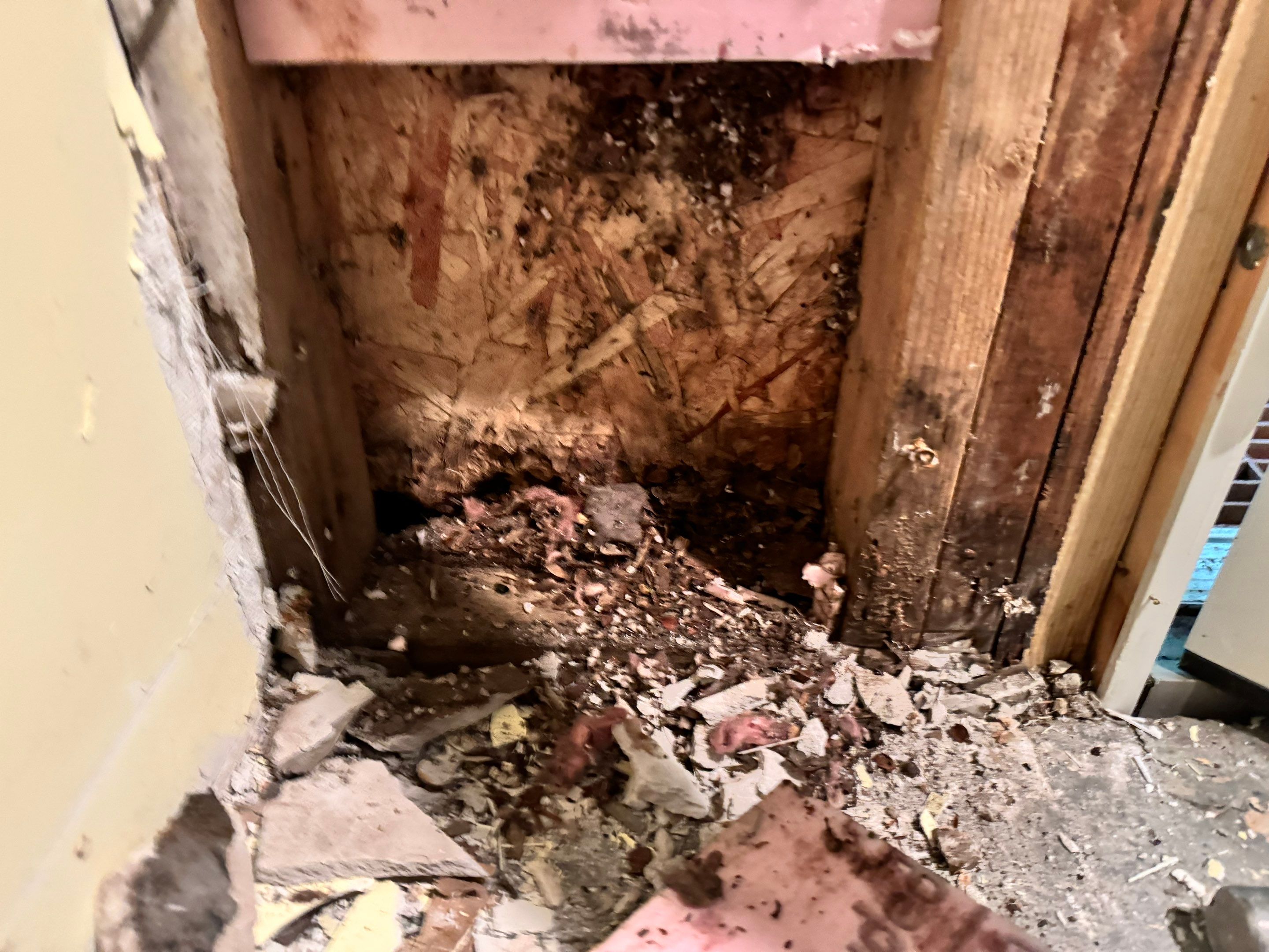 Mold Remediation using Home Guarantee by Home Guarantee, LLC