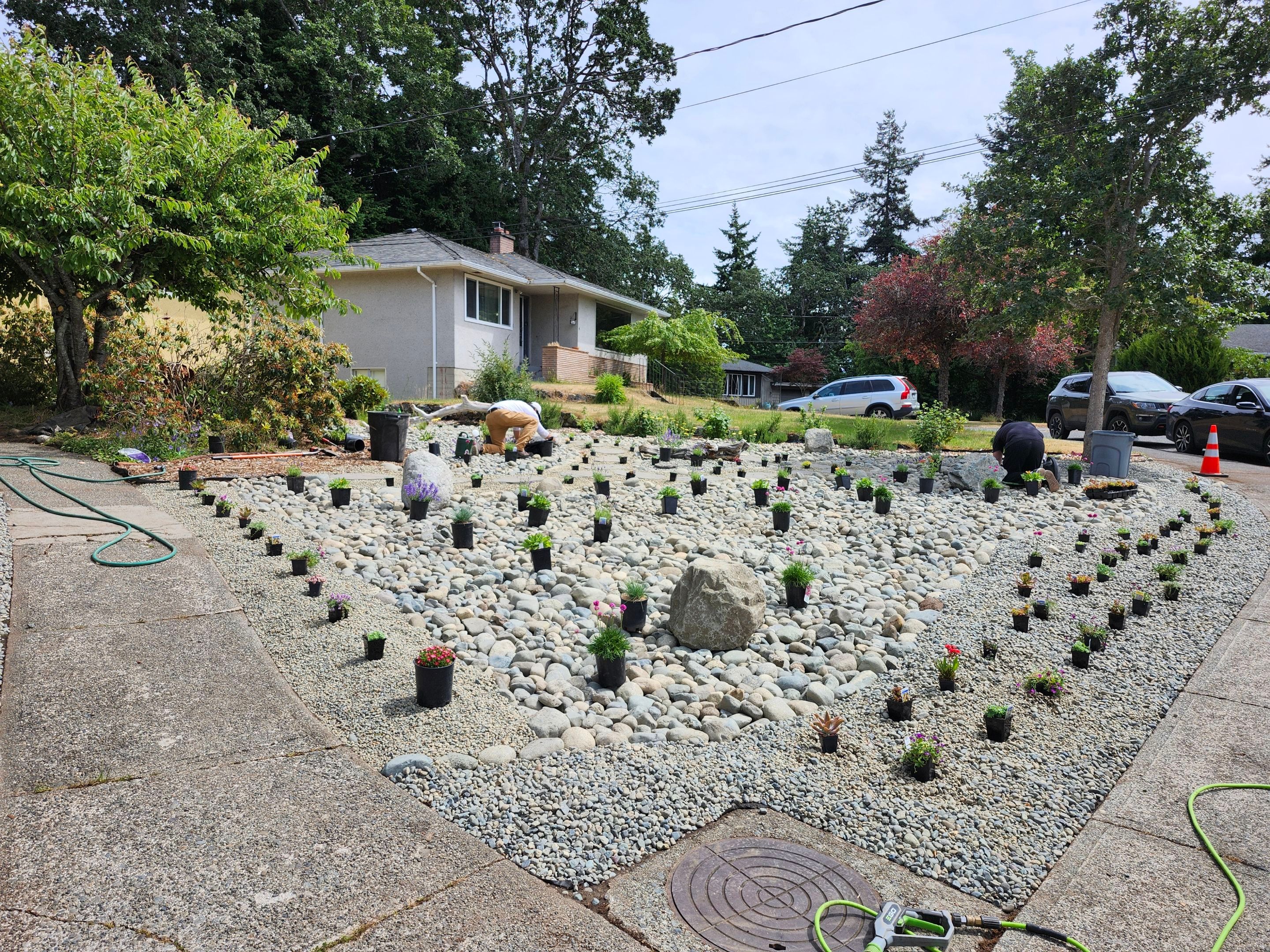Front Yard Ecological Conversion – A West Coast-Inspired Low-Maintenance Oasis by Habanero Garden and Exterior Care