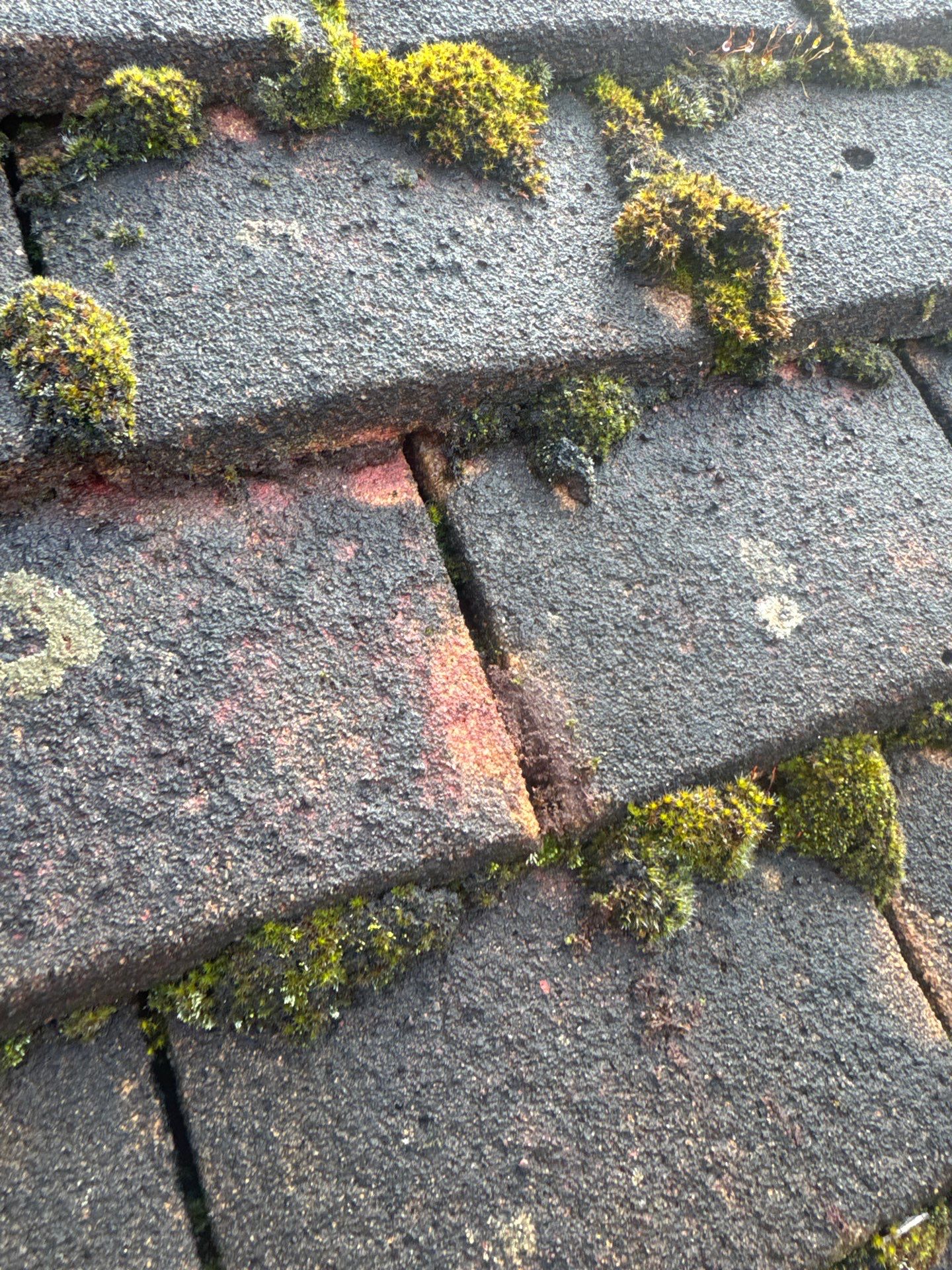 Exterior Clean - Roof - Patio - Driveway using Honda 15lpm Low Pressure Washing Machine by Ges Exterior Cleaning ltd