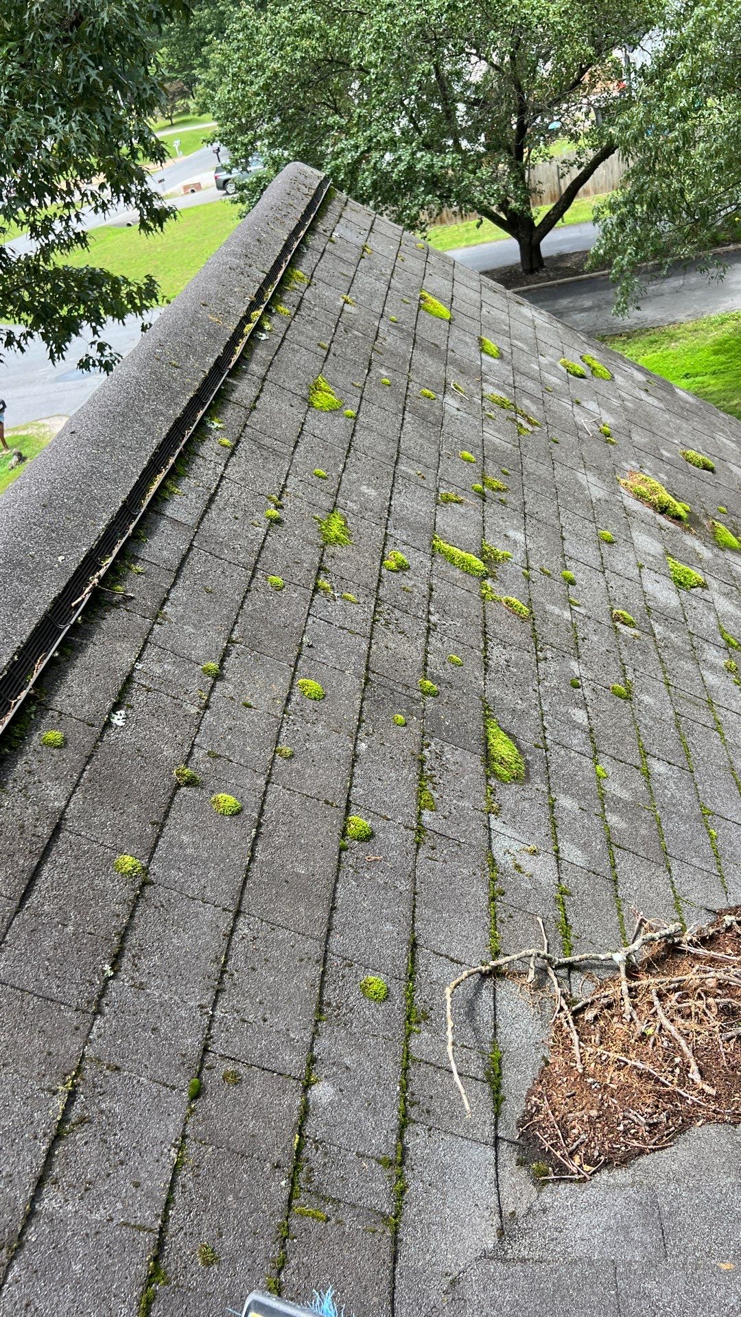 Project in Chester by Roof Maxx of Midlothian