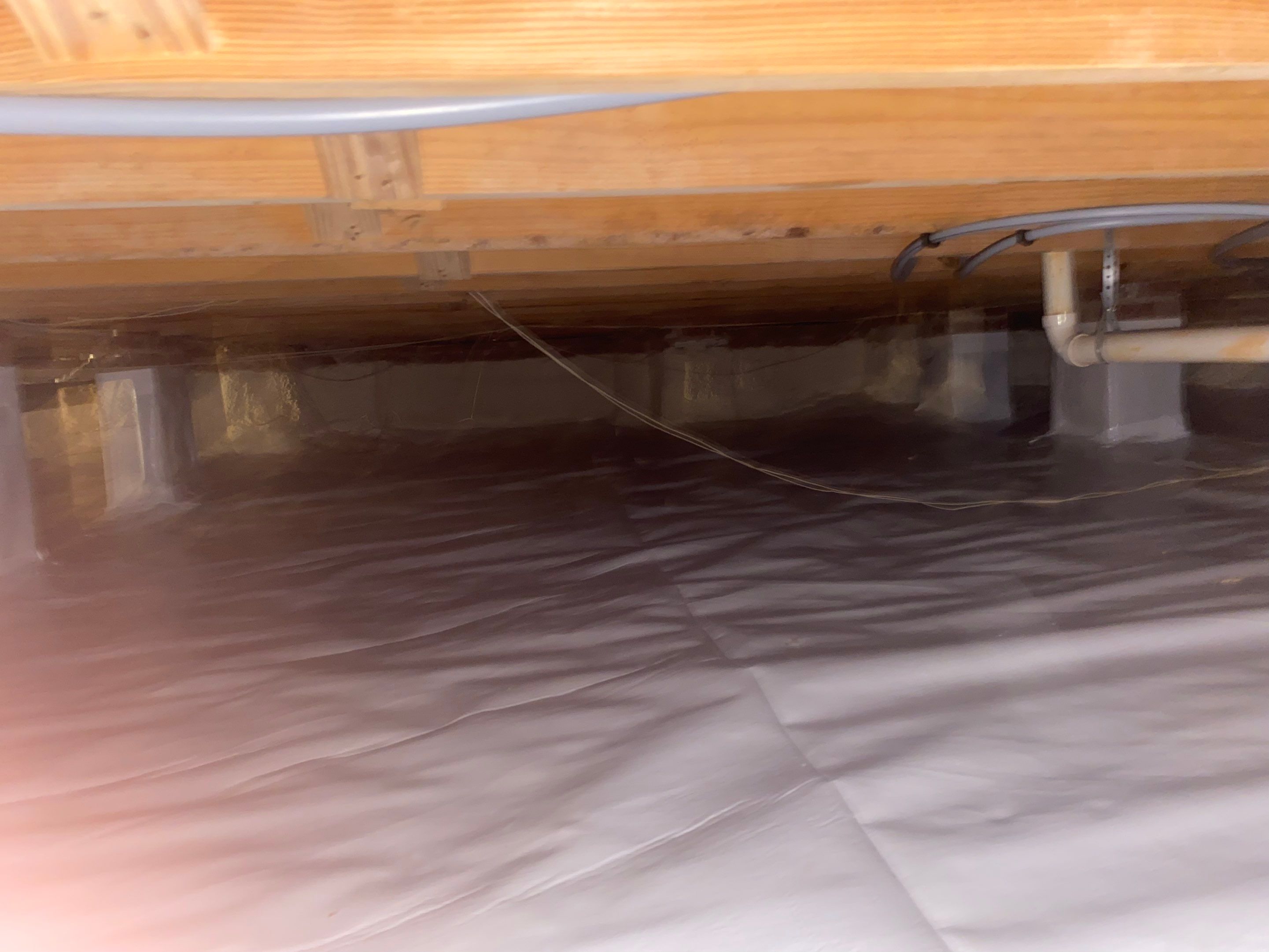 Crawlspace Remediation and Encapsulation (9/24) by Home Shield Insulation