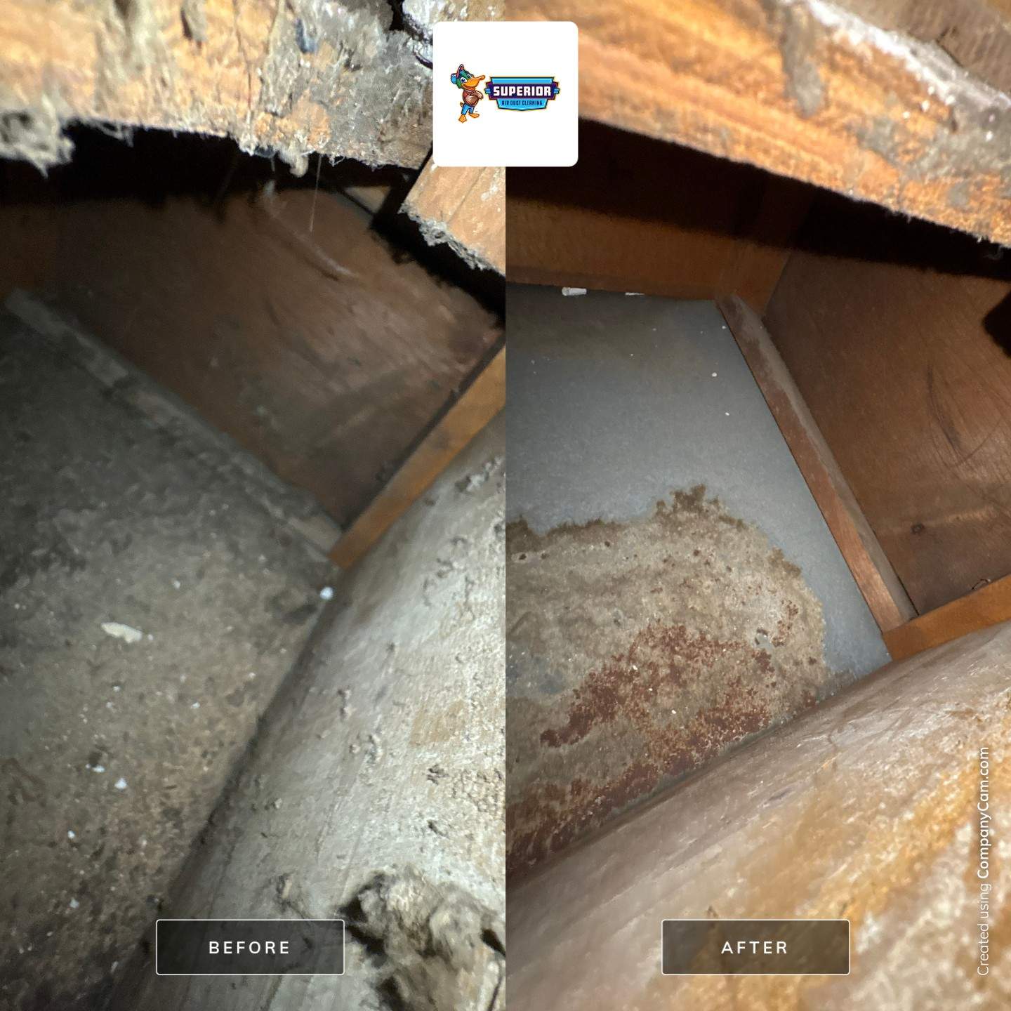 Professional Air Duct and HVAC Component Cleaning in Ellwood City by Superior Air Duct Cleaning