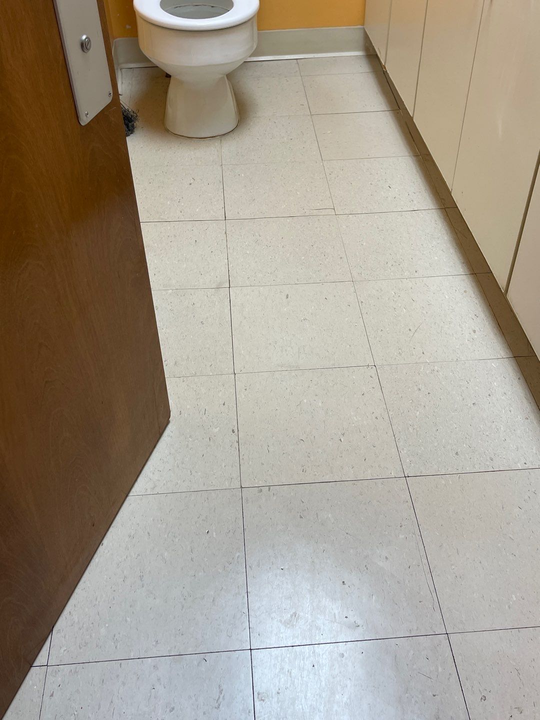 Cat Hospital Project in Pittsburgh by Floors in a Day, Inc