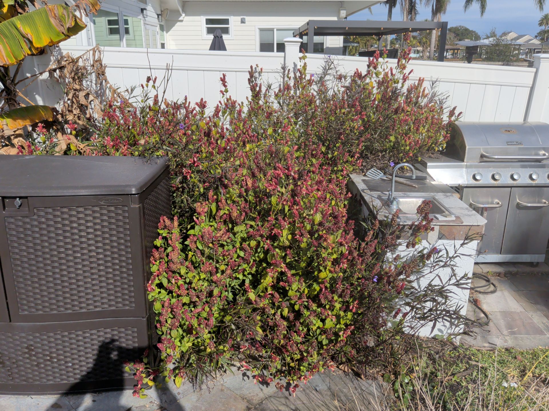 Flower Bed & Property Cleanup San Pablo area — Jacksonville Beaches, FL by Harmoni Home Services