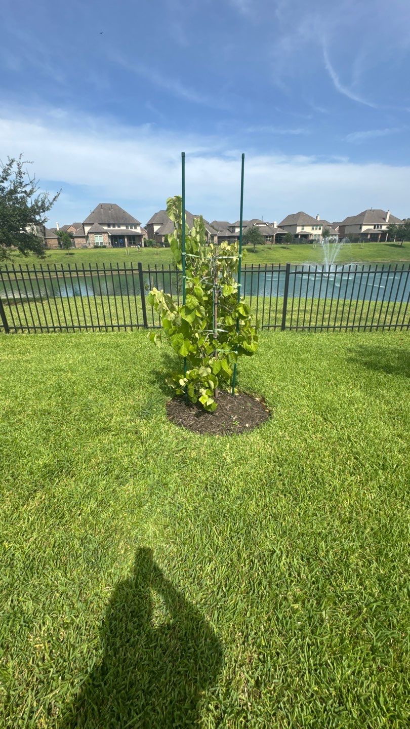 🌿 Mr. Ken’s Front Yard Flower Bed Enhancement by Texas Urban Elements