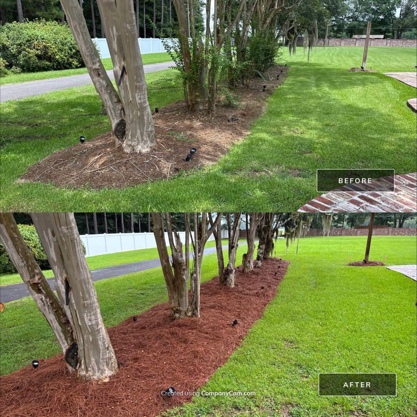 LANDSCAPE LIGHTING & LANDSCAPE CLEAN UP by CutScape, LLC.