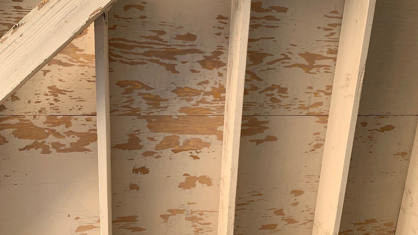 Ranch / Parapet Style; Single Family Home by Crash of Rhinos Painting & Garage Floors