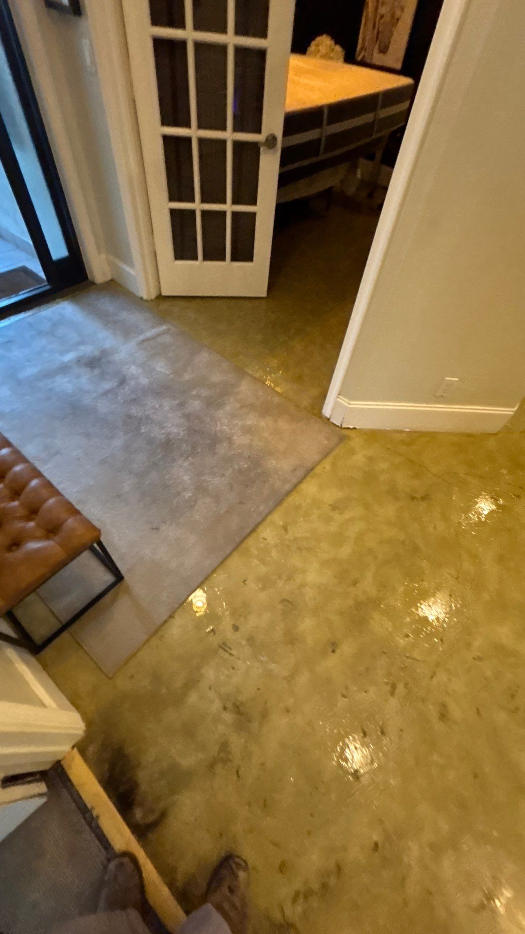 Wellington Water Damage Restoration with Thermal Imaging and Extraction by SuperClean 