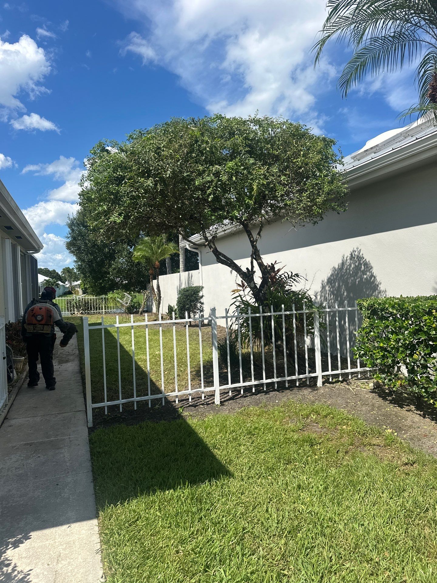 🌱 Evergreen Residential Cleanup — Palm City by Alpha Zeta Enterprises Inc