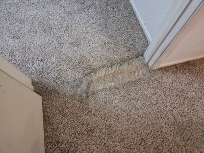 Move-Out Carpet Repairs & Carpet Cleaning