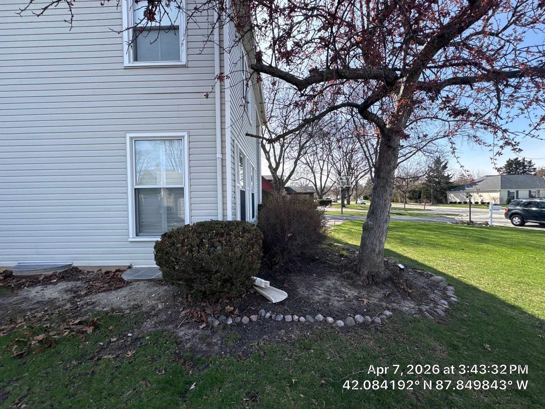 Ashley B. - Glenview, IL by A&N