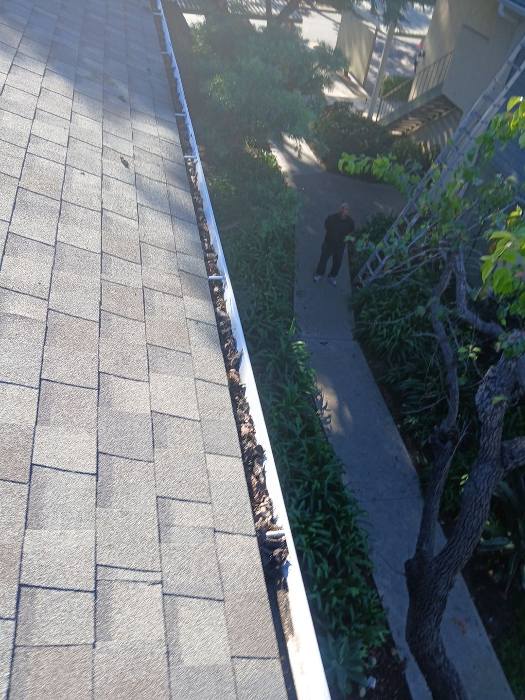 Commercial gutter cleaning Santa Barbara, CA before photo with filled gutters