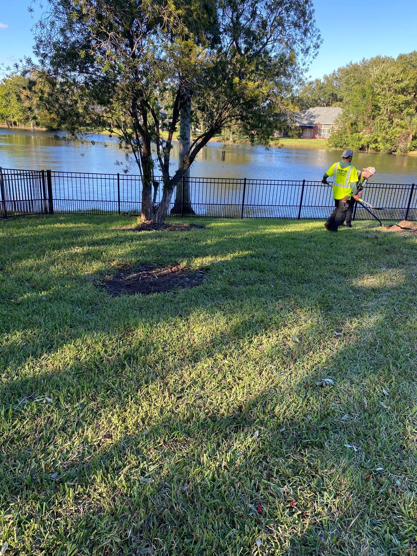 Deerwood | Tree Trimming & Sod Install | Residential by ProGreen Services
