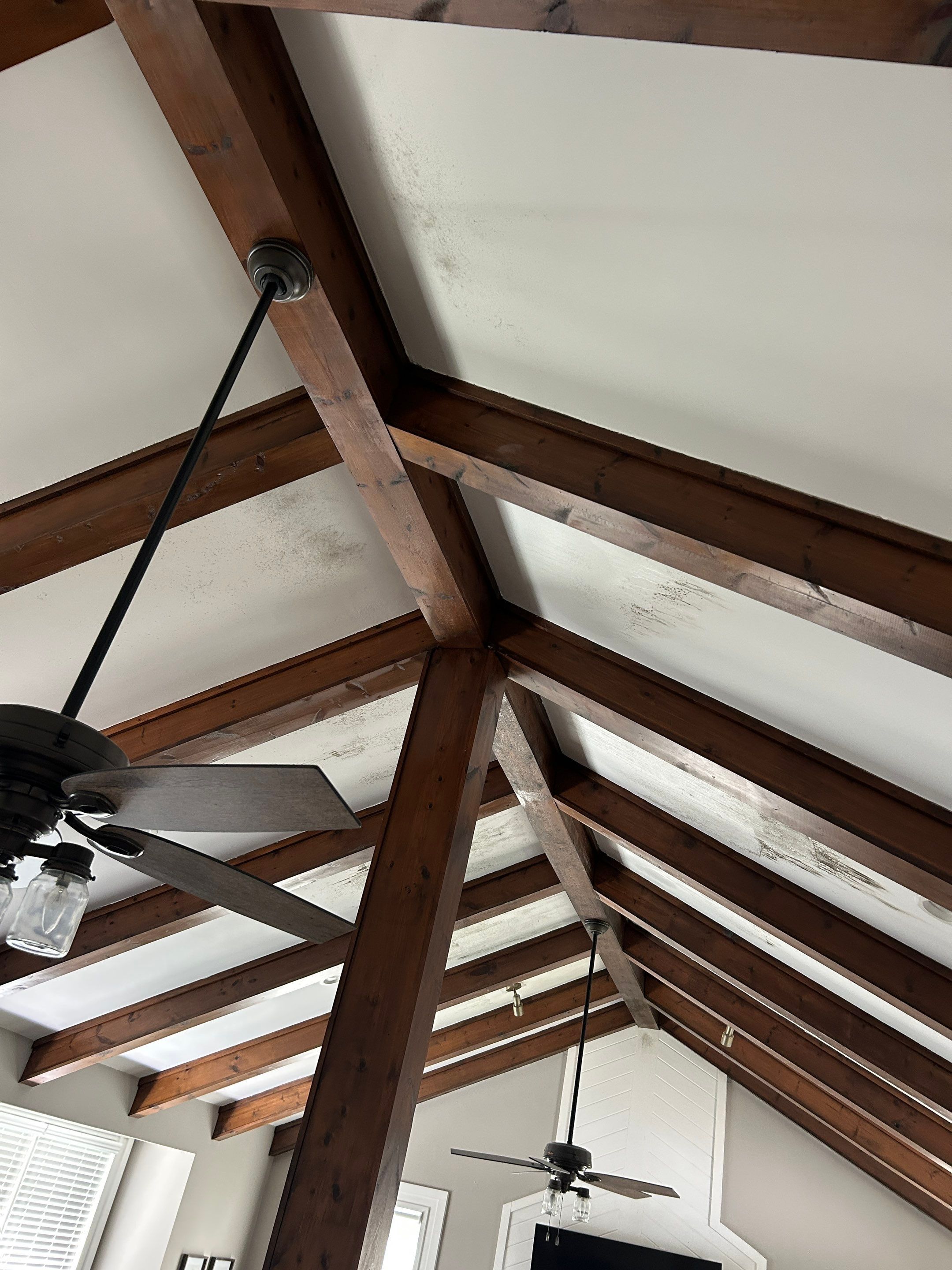 Ceiling Renovation & Insulation Upgrade by PGP Surface Solutions, LLC