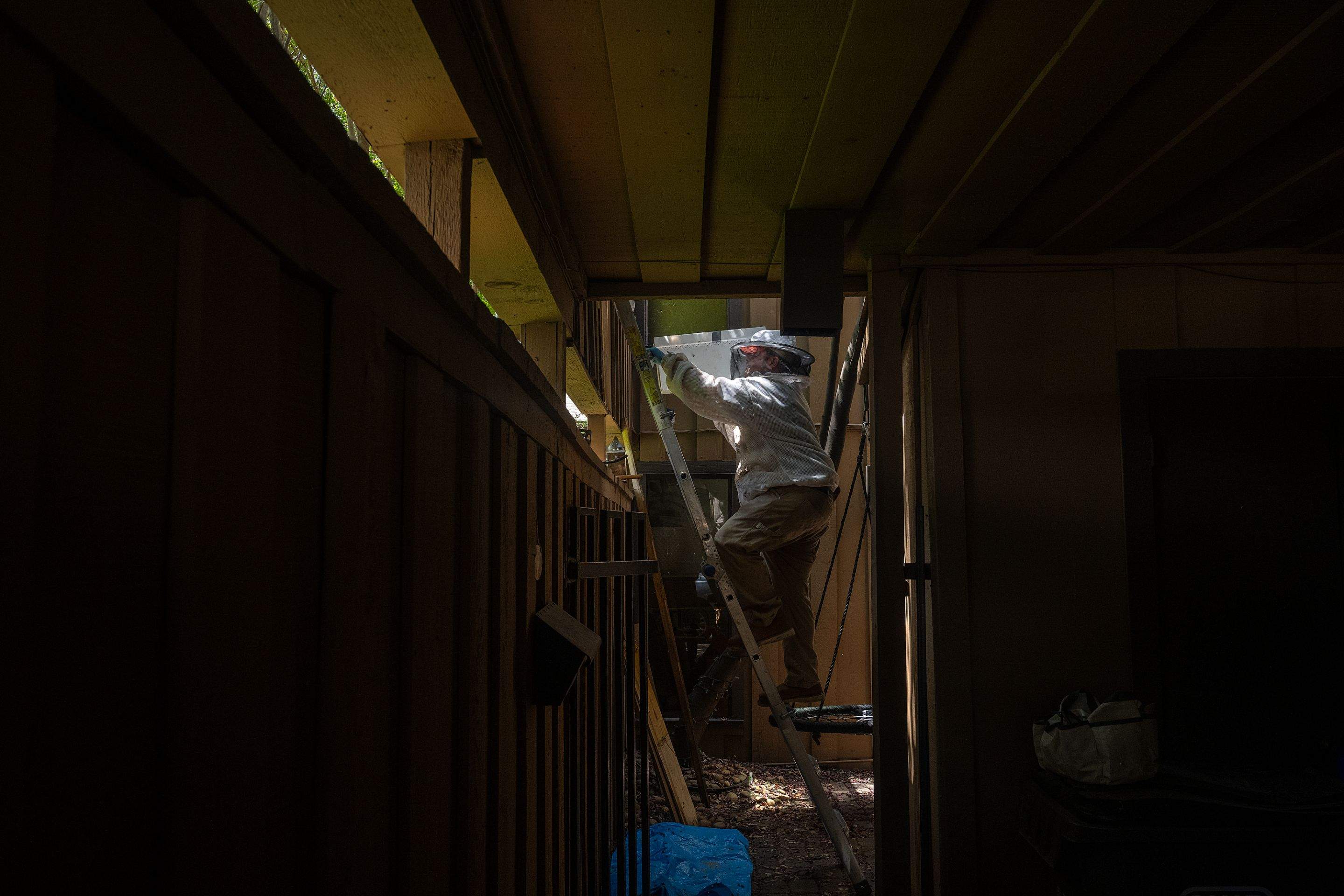 Condo Patio by Rockwall Honey Bee Company