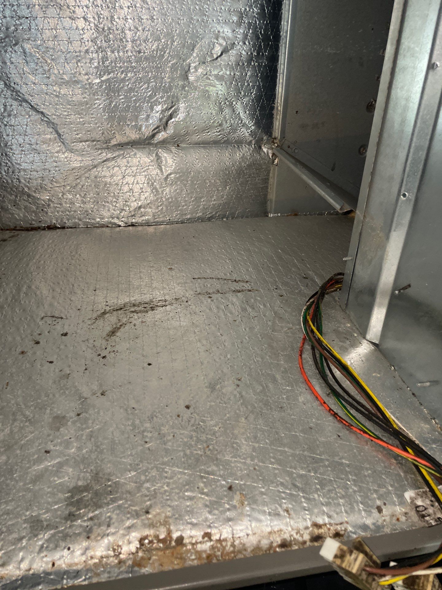 Air Duct and Dryer Vent Cleaning in Groveland by Hygienic Air, Inc