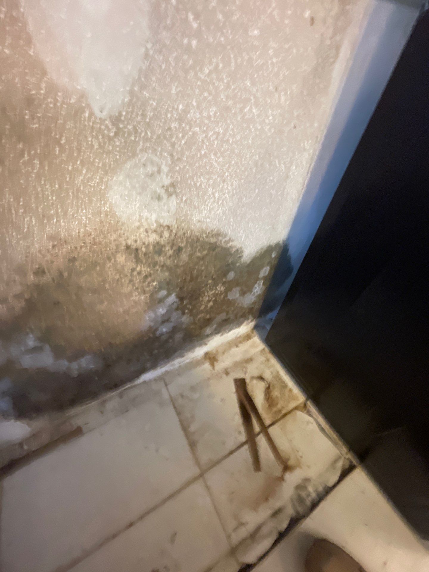 Mold remediation and rebuild of kitchen and living areas by Bay Coast Restoration 