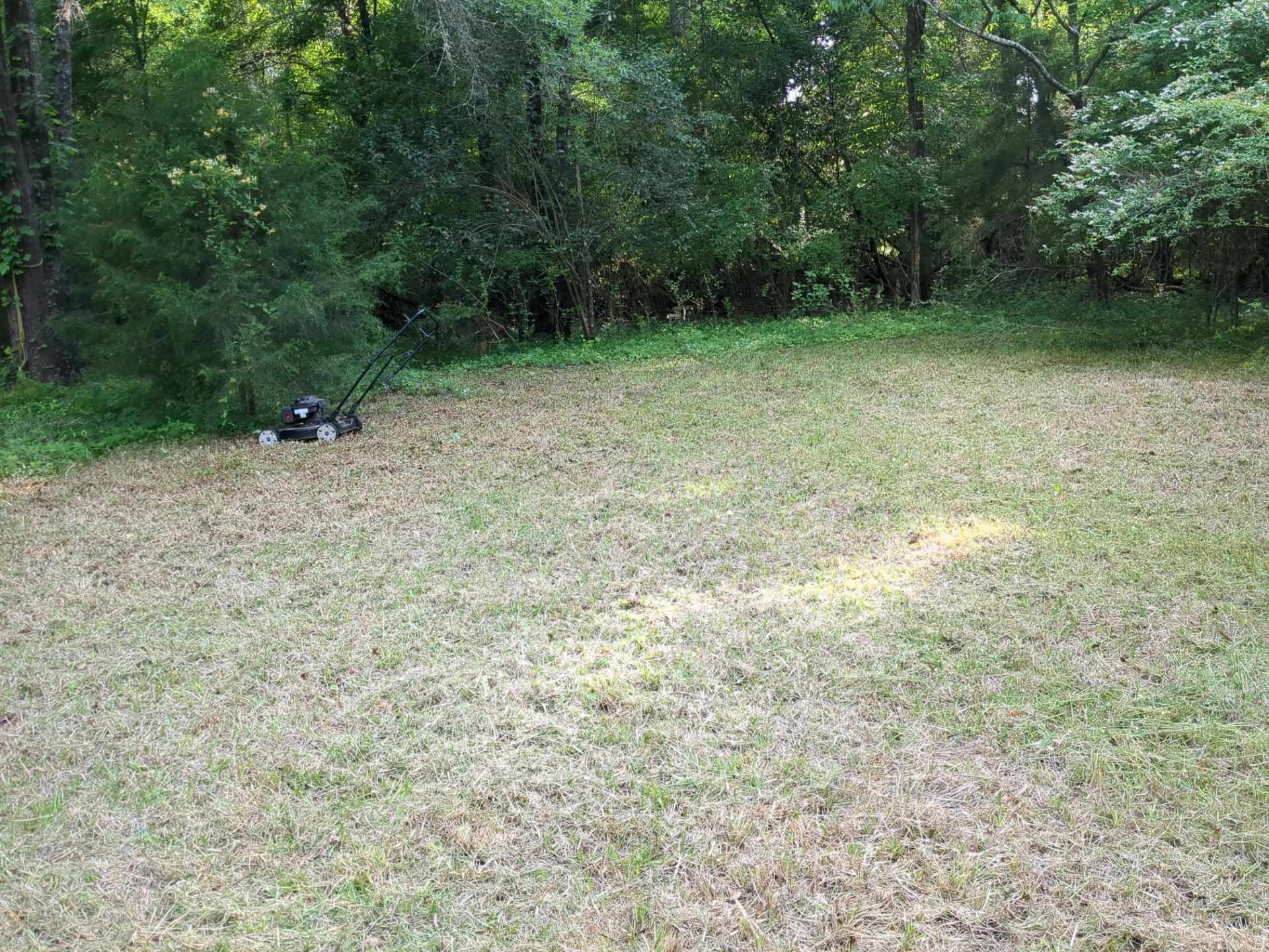 Exterior Clearing - tree trimming - grass cut by Swift Signings and Services LLC