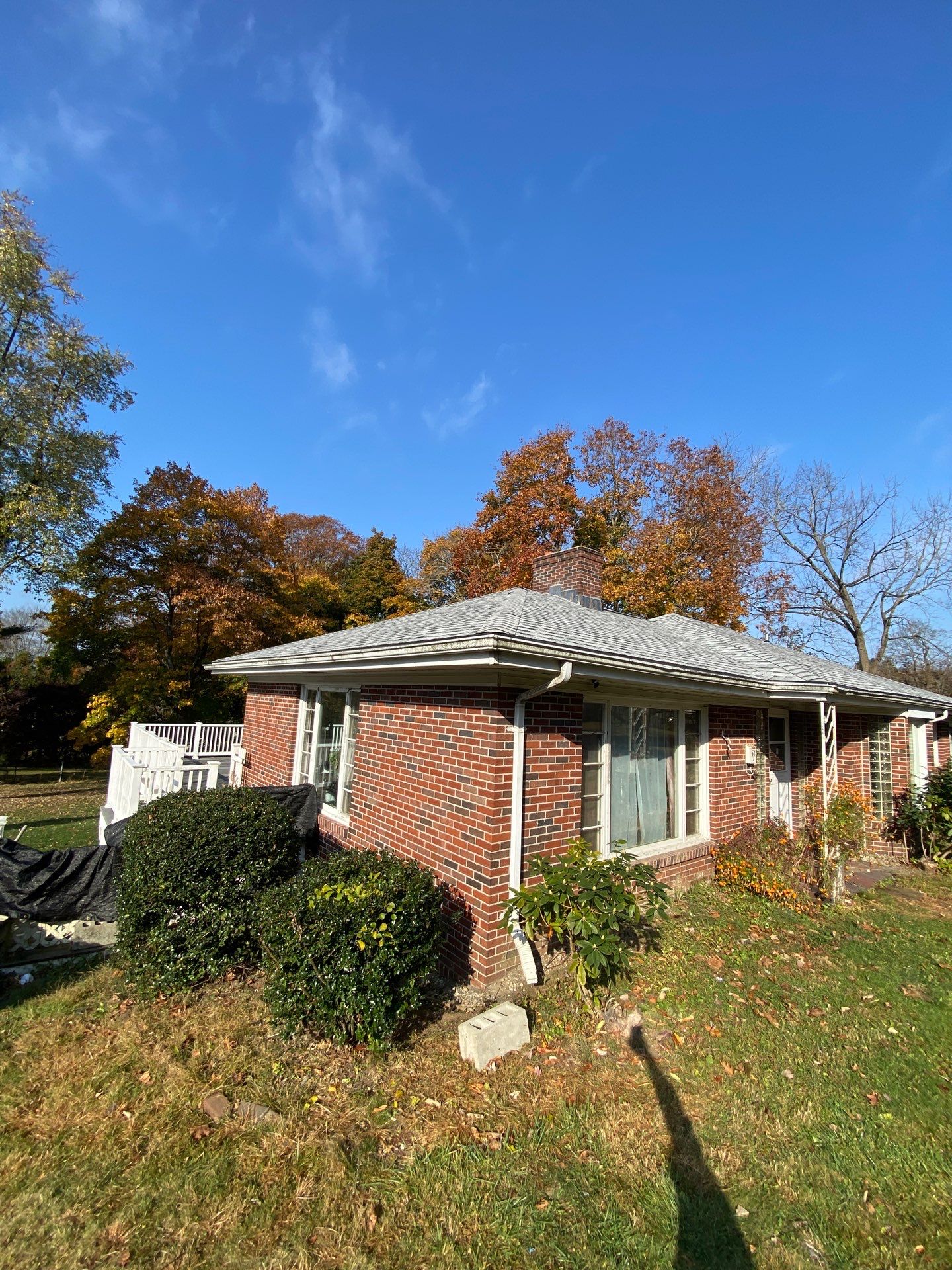 Silver Birch Shingles by Reimagine Roofing
