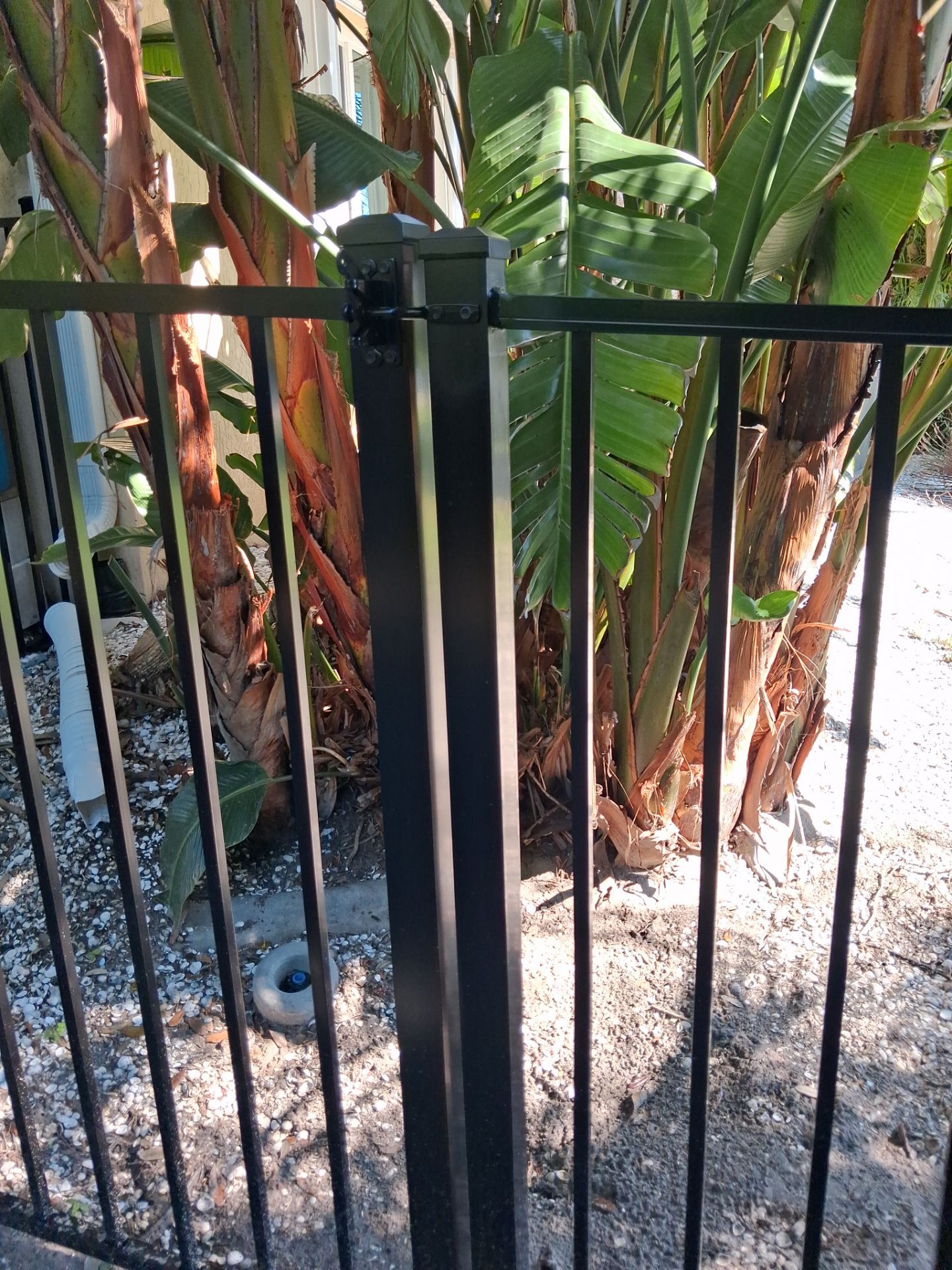 Black Aluminum Picket Fence Installation for Port Charlotte Canal Home by True Fence LLC