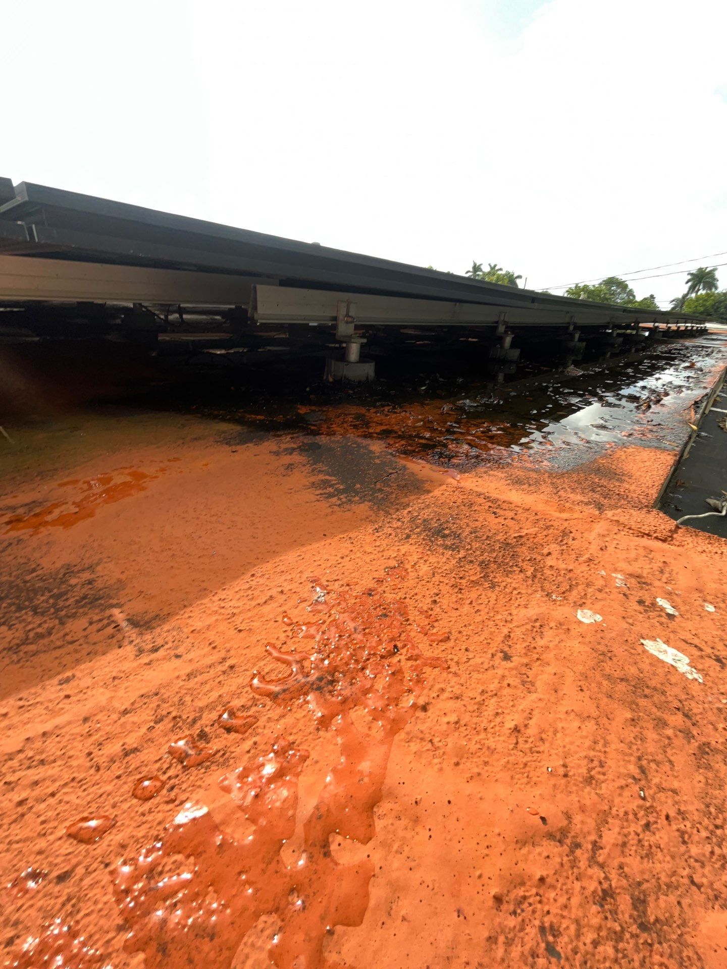 Modified Bitumen Membrane by Reimagine Roofing