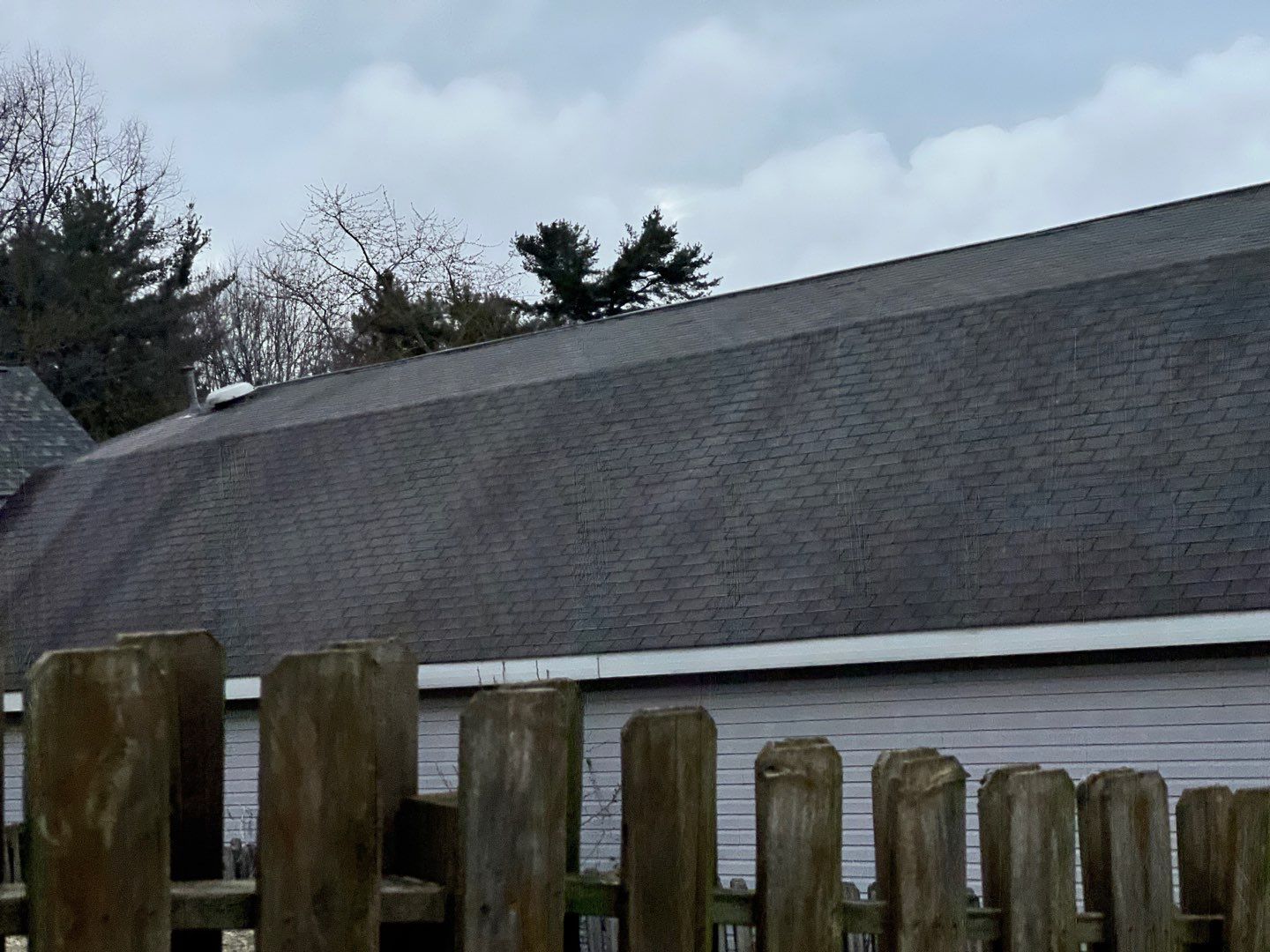 Denise Glass by Silver Leaf Contracting 