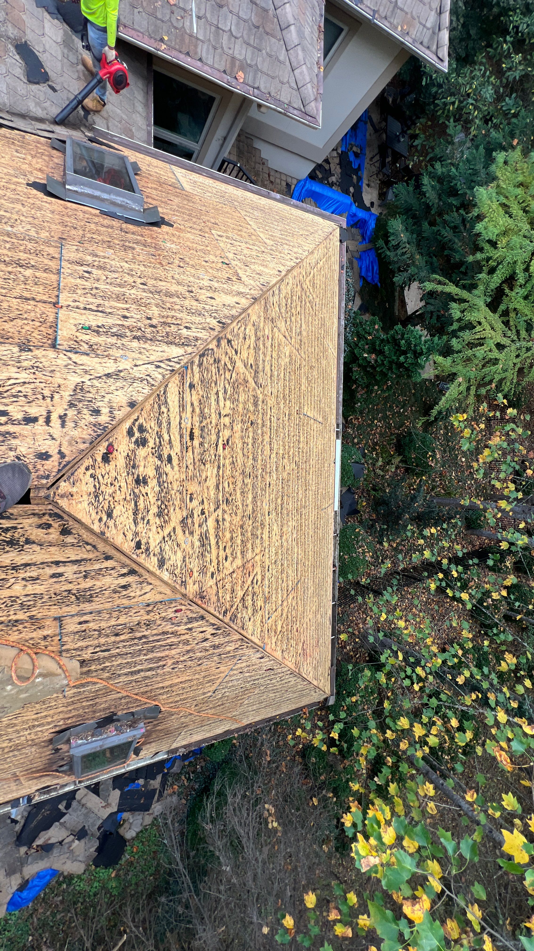 Catherine Cutter by United Contracting and Roofing