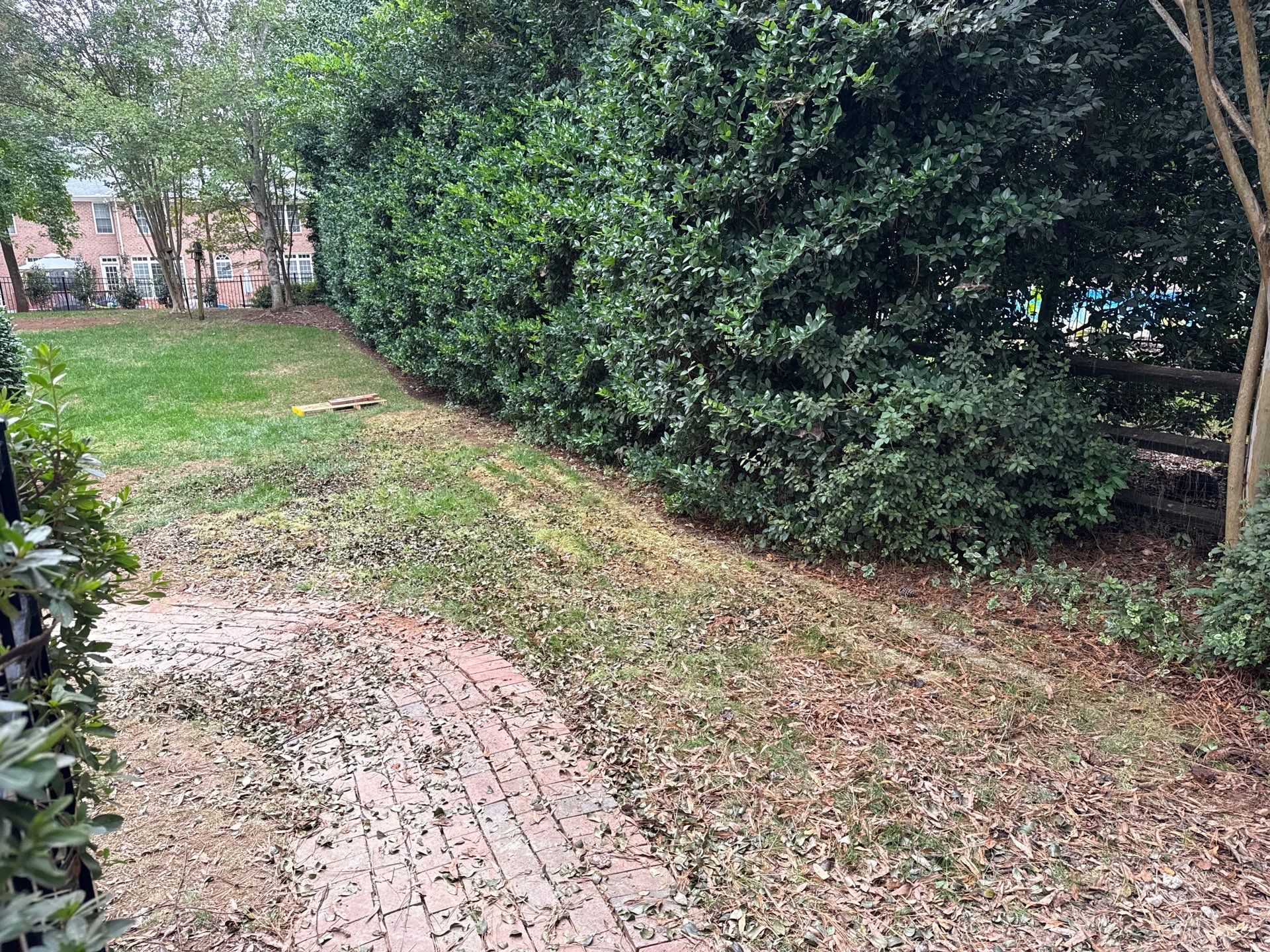 Project in Charlotte by Badger Hauling