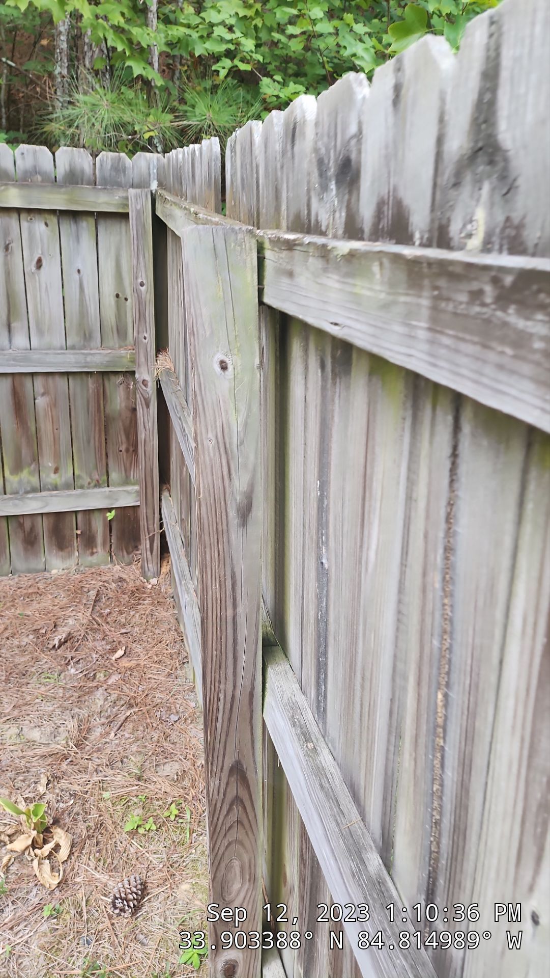Dogear Wood Privacy Fence by Titans of Timber Fence & Stain