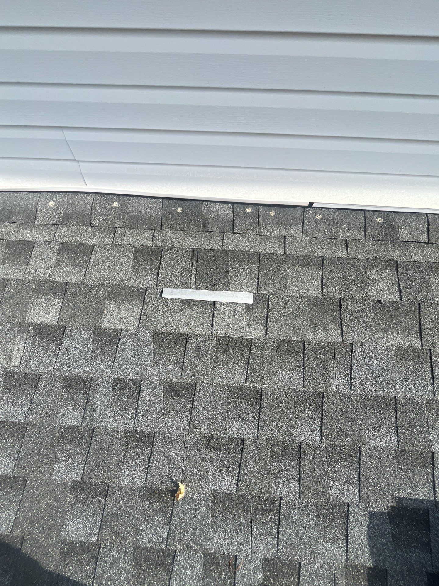 Silver Birch Shingles by Reimagine Roofing