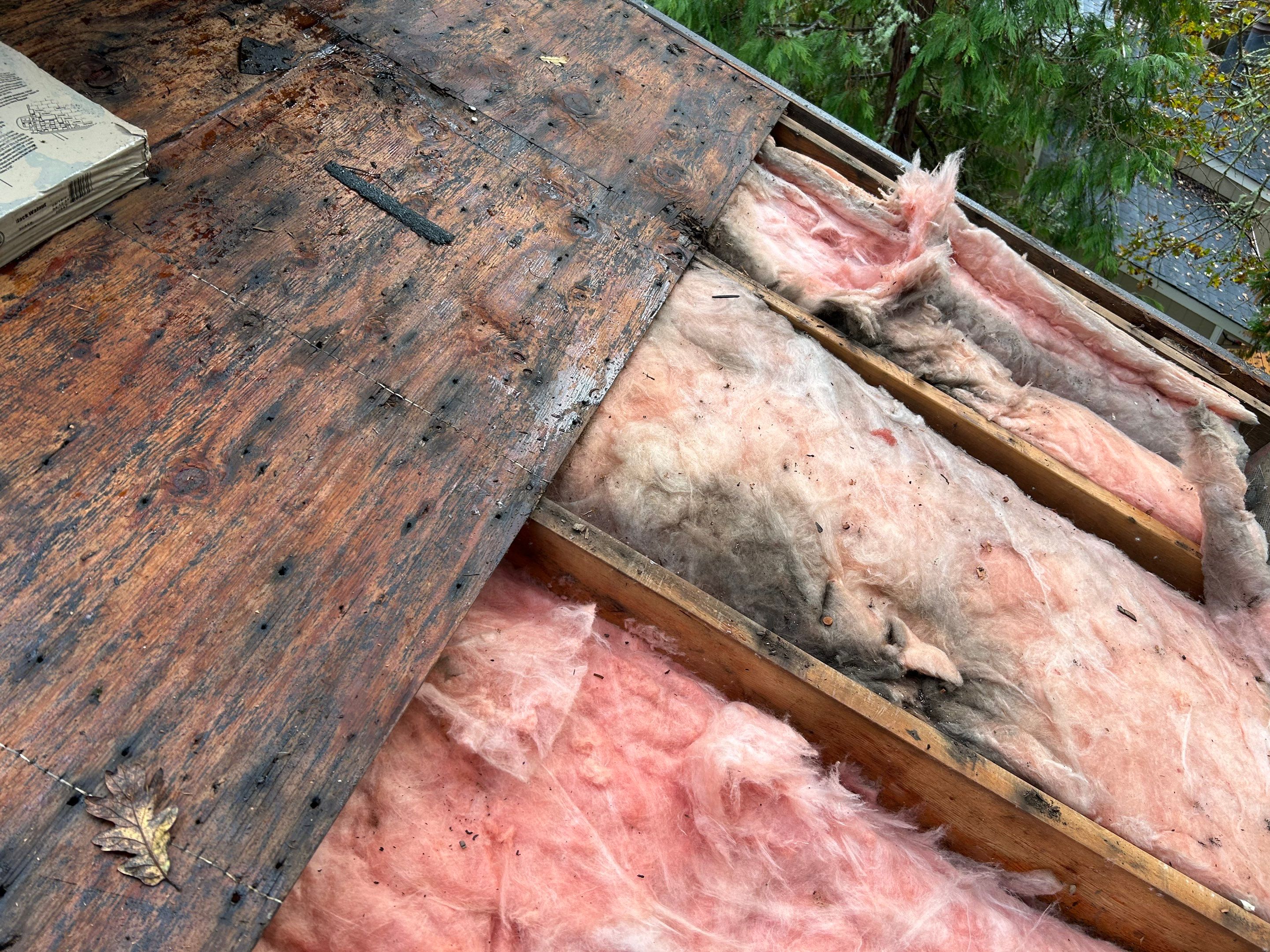 Roof Replacement in Corvallis by Prodigy Roof Solutions