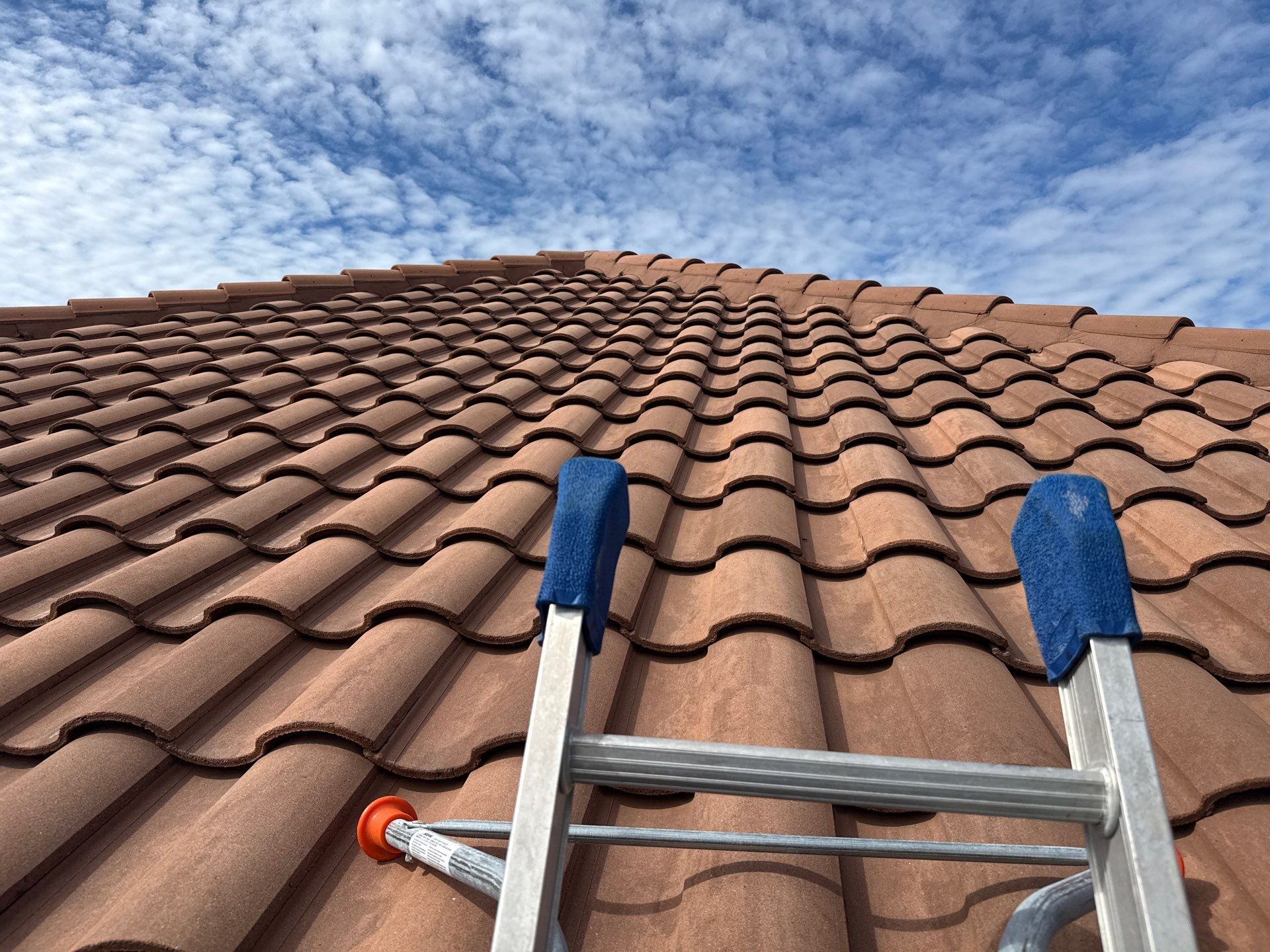 🌿 Tile Roof Cleaning in Lakewood Ranch — Safe for Plants & Tortoise-Friendly! 🐢✨ by Sunshine AquaWash
