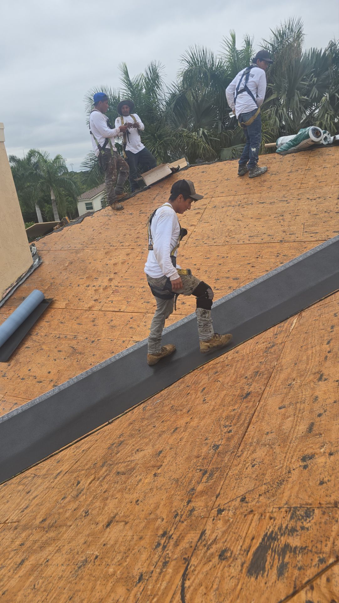 Premium Tile Roof Replacement in Boca Raton โ Built to Last by Aastro Roofing