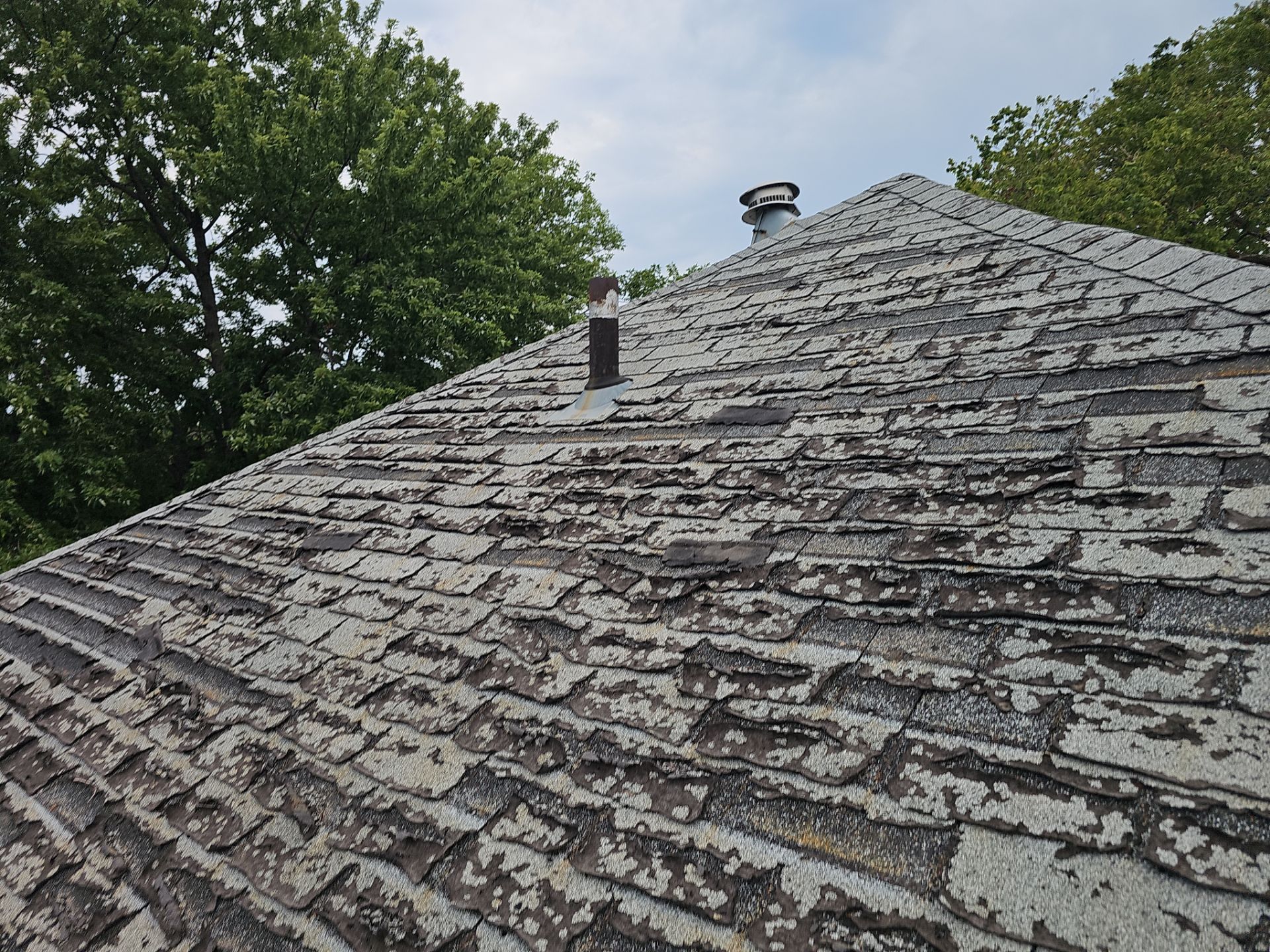 Kearney Roof Replacement | TAMKO Titan XT Old English Pewter by Loyal Nine