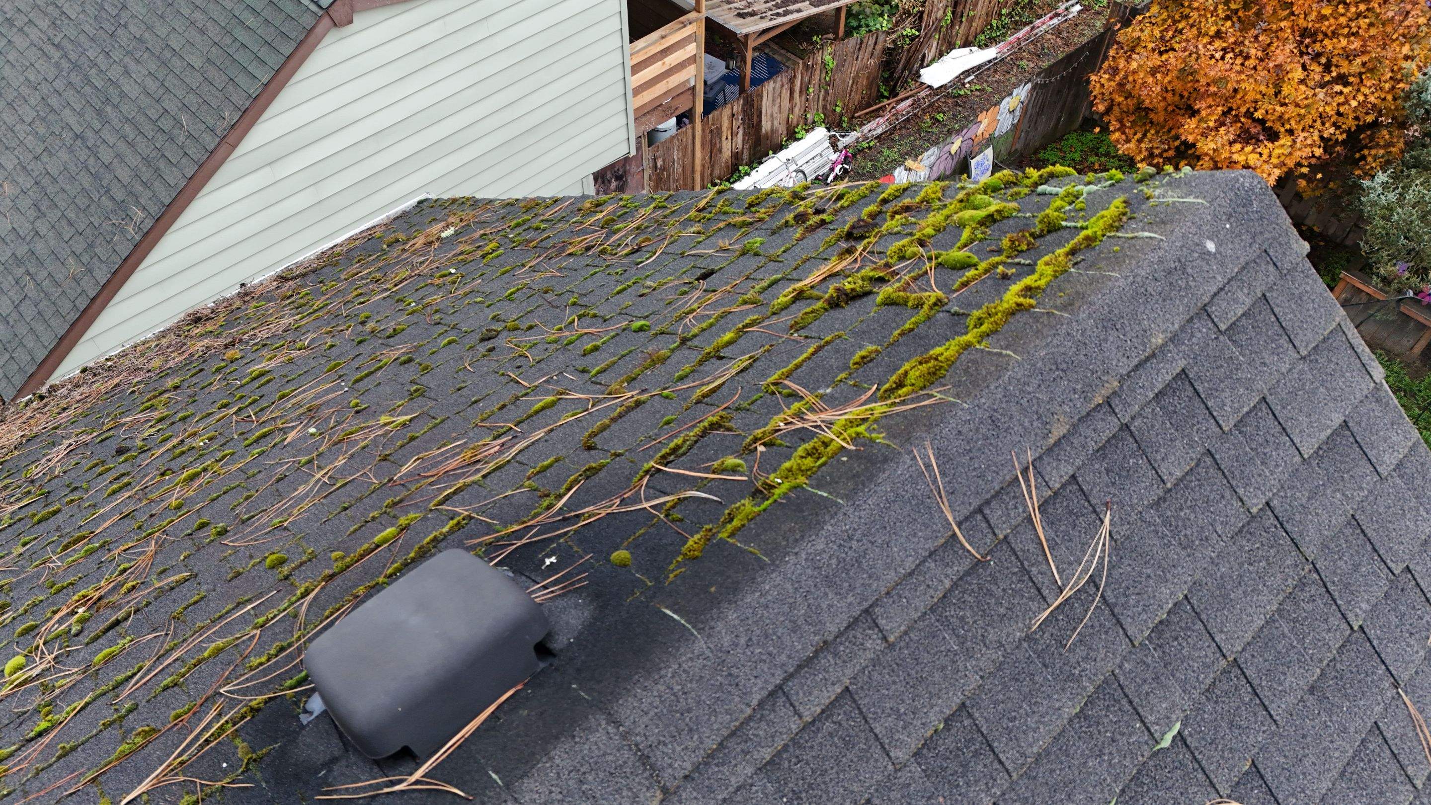 Severe Roof Maintenance in Beaverton by Prodigy Roof Solutions