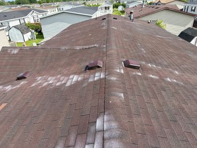 Roof Rejuvenation In New Haven
